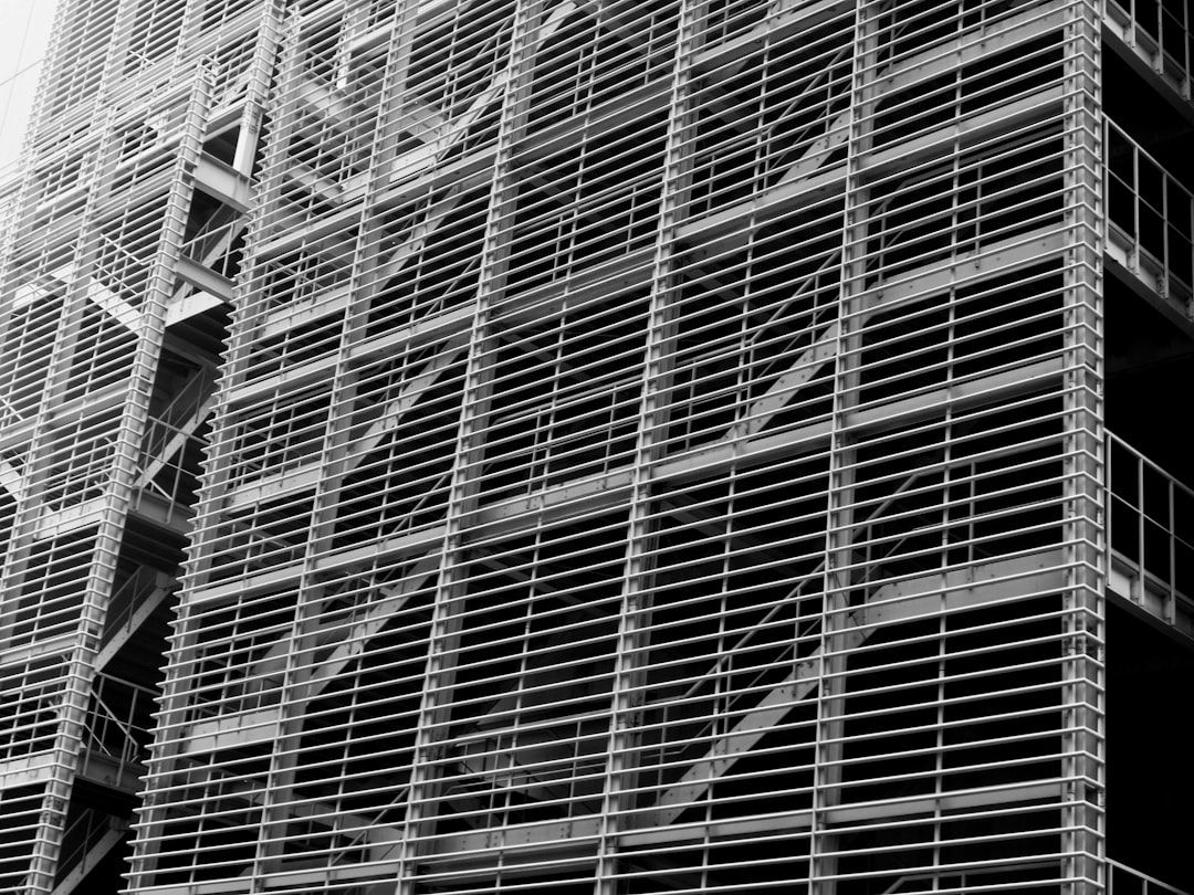 Navigating the Leviathan: Corporate Influence in an Era of State Power Consolidation