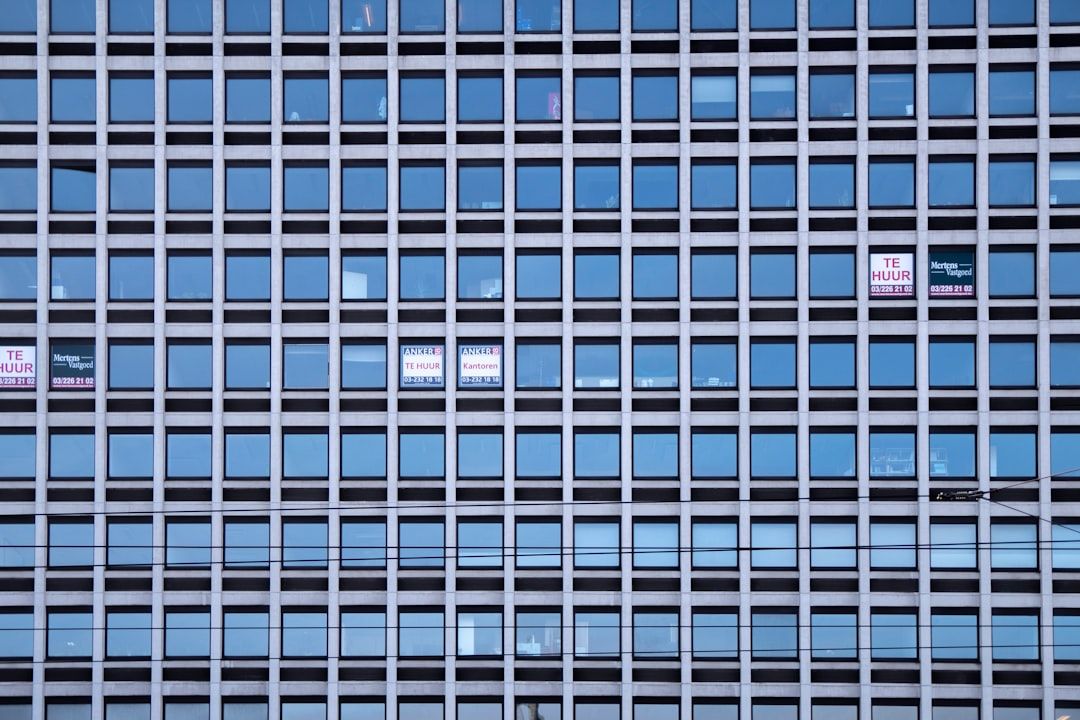 Preemptive Digital Reputation Management: De-risking Your Digital Footprint Amidst 2025 Regulatory Storms